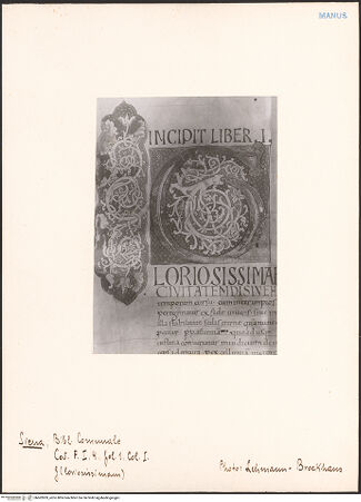 Vorderseite von bh602839_recto