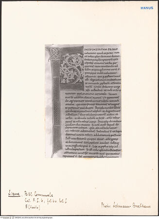 Vorderseite von bh602843_recto