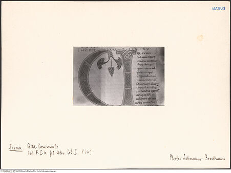 Vorderseite von bh602846_recto