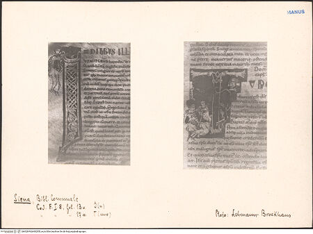 Vorderseite von bh602849_bh602850_recto