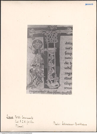 Vorderseite von bh602854_recto