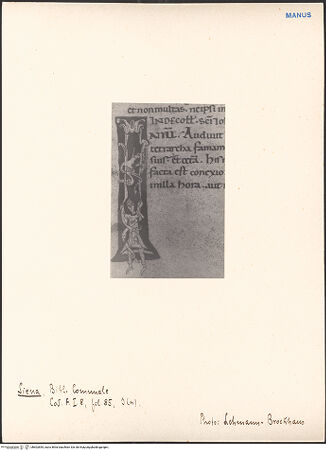 Vorderseite von bh602855_recto