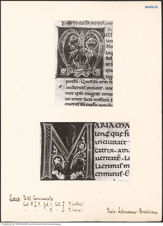 Vorderseite von bh602856_bh602857_recto