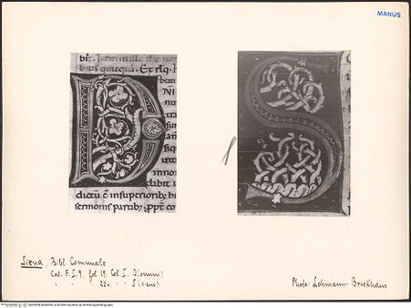 Vorderseite von bh602858_bh602859_recto