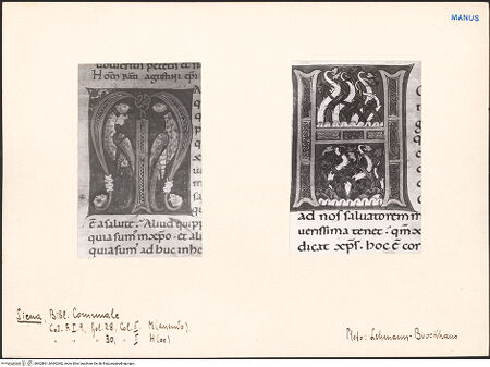 Vorderseite von bh602861_bh602862_recto