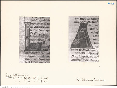 Vorderseite von bh602863_bh602864_recto