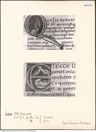 Vorderseite von bh602866_bh602867_recto