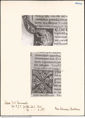 Vorderseite von bh602870_bh602871_recto