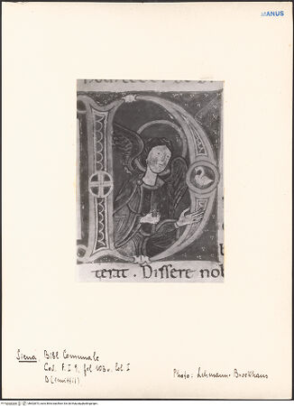 Vorderseite von bh602873_recto