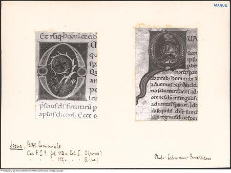 Vorderseite von bh602874_bh602875_recto