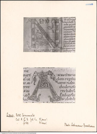 Vorderseite von bh602879_bh602880_recto