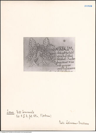 Vorderseite von bh602882_recto