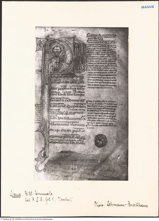 Vorderseite von bh602884_recto