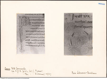 Vorderseite von bh602889_bh602890_recto