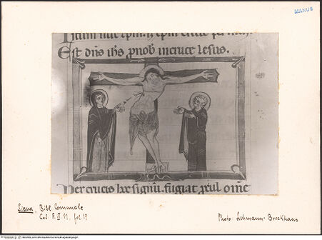 Vorderseite von bh602896_recto