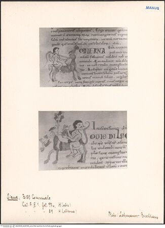 Vorderseite von bh602899_bh602900_recto