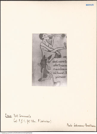 Vorderseite von bh602901_recto