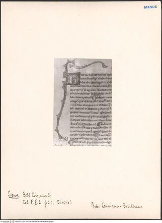 Vorderseite von bh602902_recto