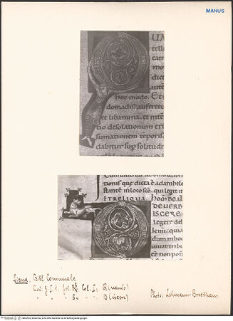 Vorderseite von bh602903_bh602904_recto