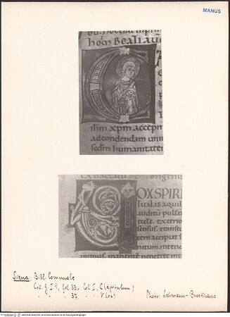 Vorderseite von bh602908_bh602909_recto