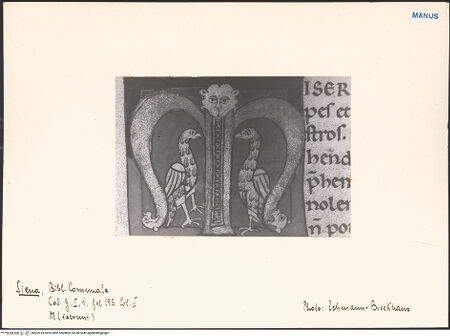 Vorderseite von bh602919_recto