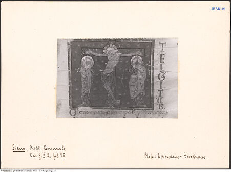 Vorderseite von bh602923_recto