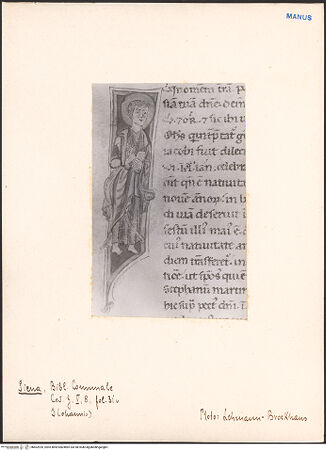 Vorderseite von bh602926_recto