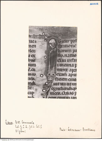 Vorderseite von bh602933_recto