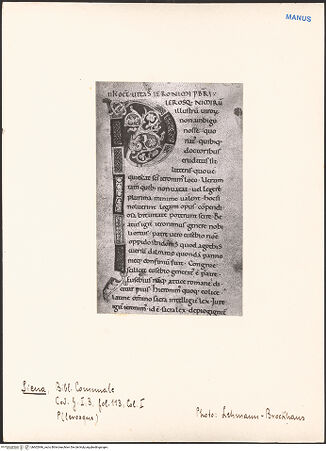 Vorderseite von bh602946_recto