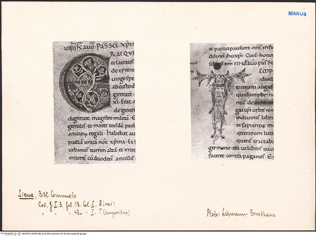 Vorderseite von bh602947_bh602948_recto