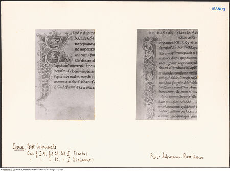 Vorderseite von bh602949_bh602950_recto