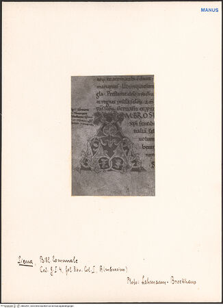 Vorderseite von bh602951_recto