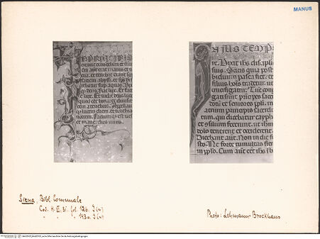 Vorderseite von bh602952_bh602953_recto