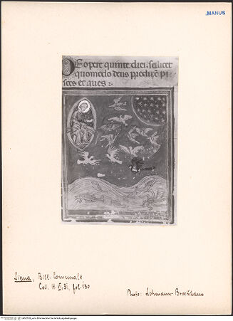 Vorderseite von bh602958_recto