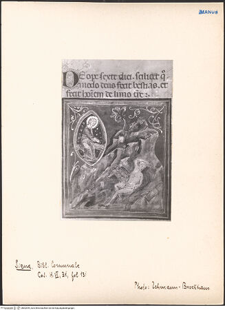 Vorderseite von bh602959_recto