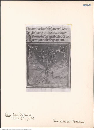 Vorderseite von bh602964_recto