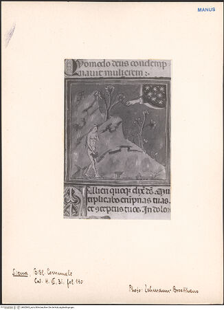 Vorderseite von bh602965_recto