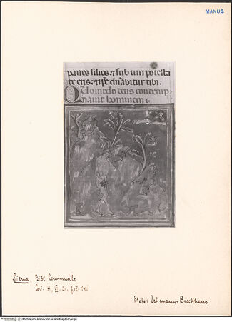 Vorderseite von bh602966_recto