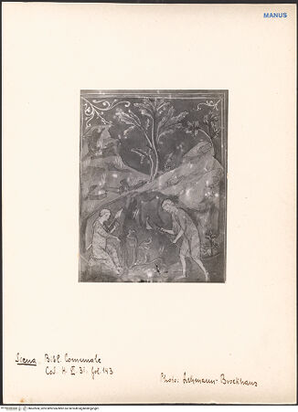 Vorderseite von bh602968_recto