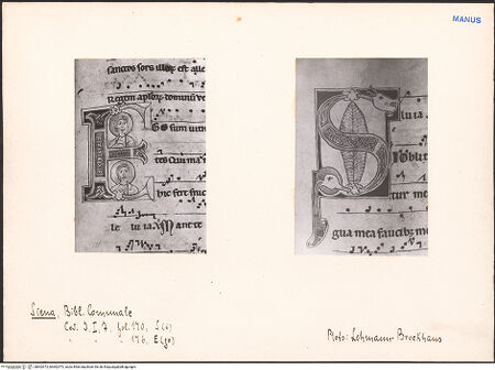 Vorderseite von bh602972_bh602973_recto