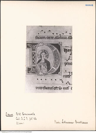 Vorderseite von bh602974_recto