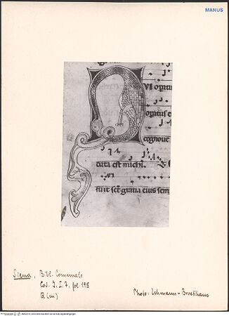 Vorderseite von bh602975_recto