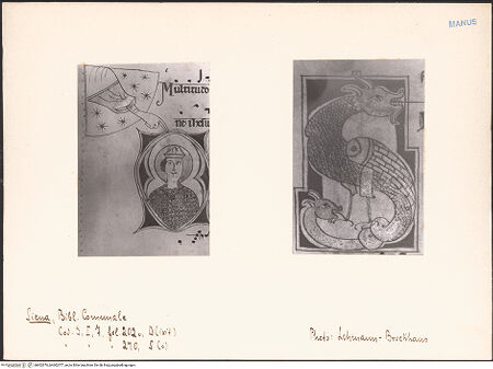 Vorderseite von bh602976_bh602977_recto