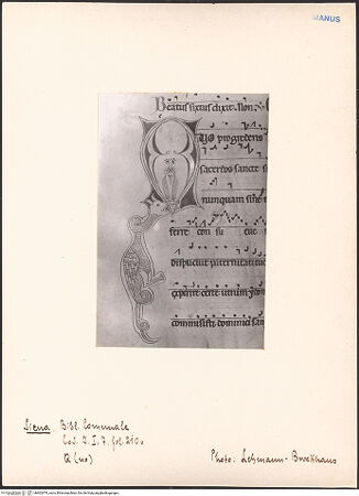 Vorderseite von bh602979_recto