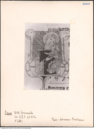 Vorderseite von bh602980_recto