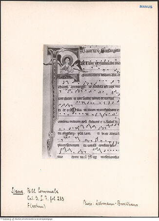 Vorderseite von bh602982_recto