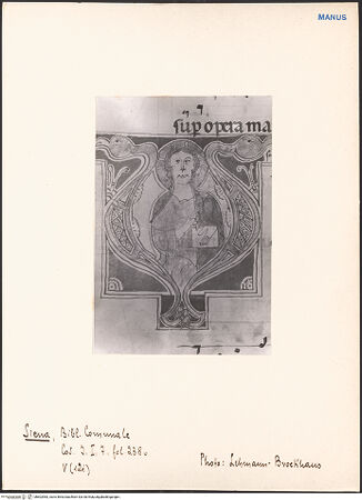 Vorderseite von bh602983_recto