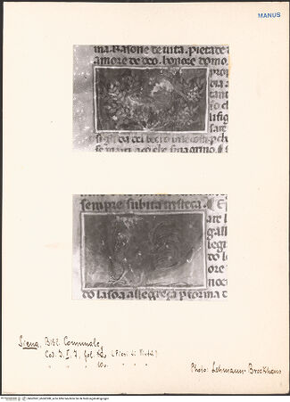 Vorderseite von bh602987_bh602988_recto