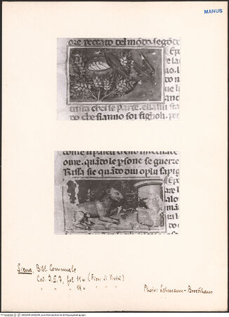 Vorderseite von bh602989_bh602990_recto