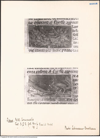 Vorderseite von bh602991_bh602992_recto